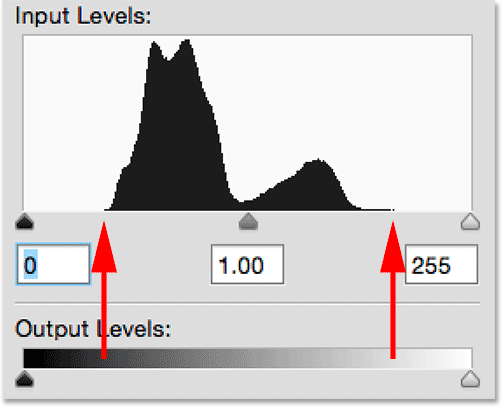 The histogram showing a lack of detail in both the shadows and highlights. 