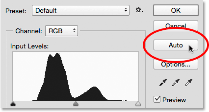 Clicking the Auto button in the Levels dialog box. Image © 2015 Steve Patterson, Photoshop Essentials.com
