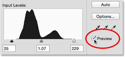 The Preview option in the Levels dialog box. 