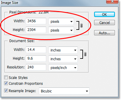 landscape picture dimensions