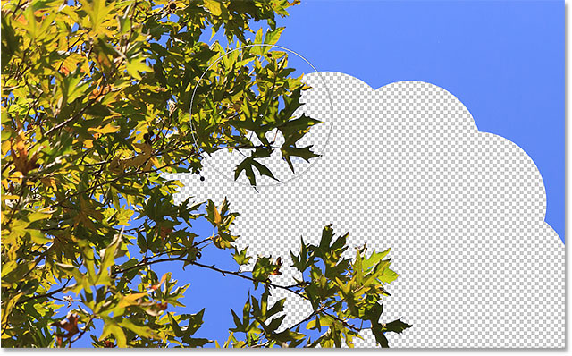 How To Use The Background  Eraser  Tool In Photoshop 