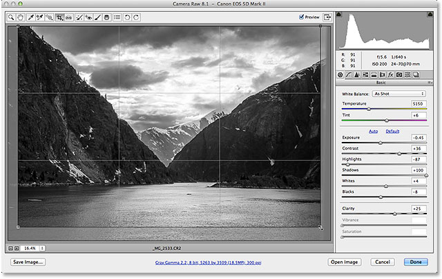 photoshop camera raw plugins