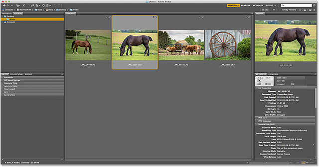 adobe camera raw update