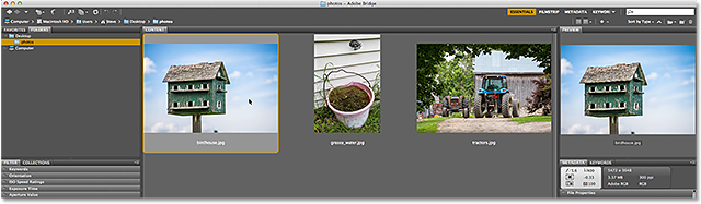 Adobe Bridge CC. Image © 2013 Steve Patterson, Photoshop Essentials.com