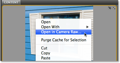 how to open a jpeg in camera raw