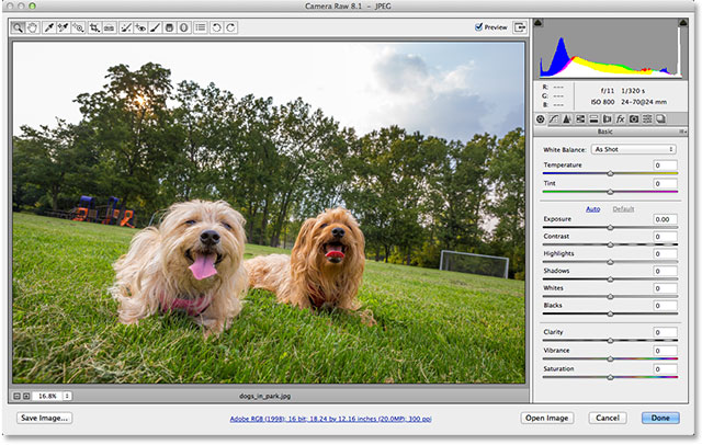 adobe camera raw 8.4 download