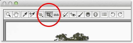 The Crop Tool in Adobe Camera Raw 8. 