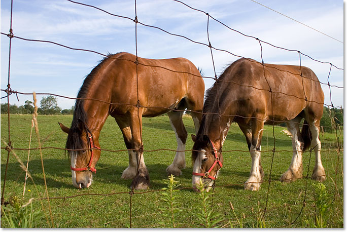 Image de tutoriel de retouche photo et de retouche photo Adobe Photoshop