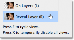 Selecting the Reveal Layer view mode in the Refine Edge dialog box. 