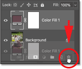 Deleting the Solid Color fill layer in Photoshop's Layers panel