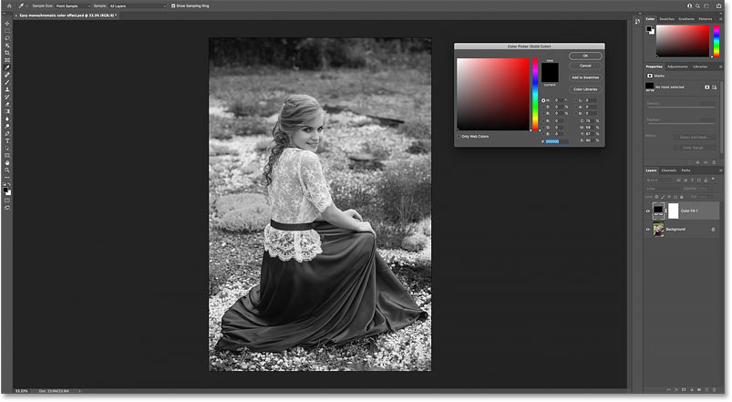 Setting the Solid Color fill layer to black converts the photo to black and white.