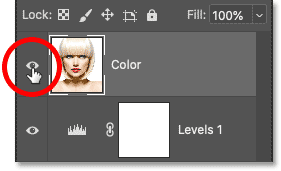 Turning off the Color layer in Photoshop's Layers panel