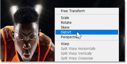 Choosing the Distort command from the transform menu.