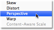 تحويل أمر Transform Selection إلى وضع Perspective.