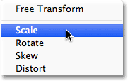 Switching the Transform Selection command into Scale mode.