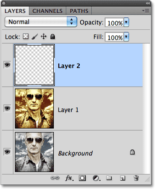 Copying the pixel column to a new layer.