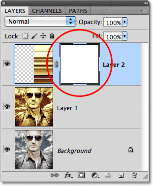 Photoshop layer mask thumbnail. Image © 2010 Photoshop Essentials.com.