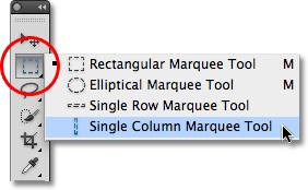 Photoshop Single Column Marquee Tool. Image © 2010 Photoshop Essentials.com.