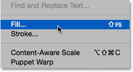 Selecting the Fill command from under the Edit menu.
