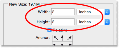 The Width and Height values in the Canvas Size dialog box.