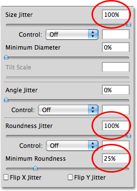 The Shape Dynamics options in the Brushes panel.