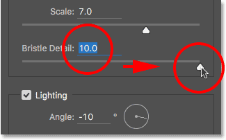 Increasing Bristle Detail to its maximum setting.