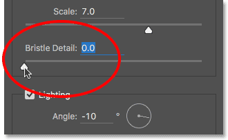 L'option de Détail des poils pour le filtre à peinture à l'huile.