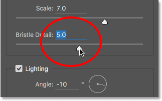 Borstendetail im Ölfarbenfilter auf 5 setzen.