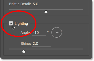 The main Lighting option in the Oil Paint filter.