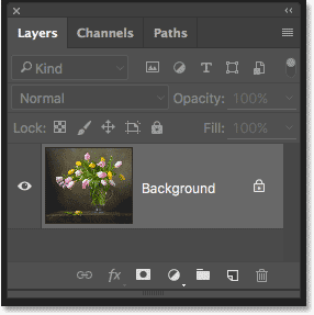 The Layers panel showing the photo on the Background layer.