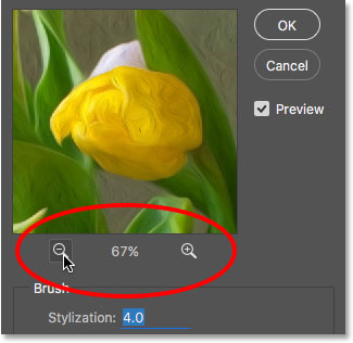 The current zoom level of the preview window, along with plus and minus icons for changing it.