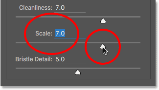 Setting the Scale value to 7 in the Oil Paint filter.