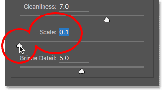 Die Skalierungsoption im Dialogfeld Ölfarbenfilter.