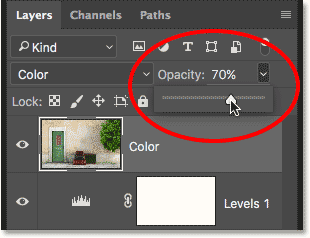 Lowering the opacity of the Color layer. 