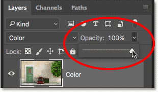 Resetting the opacity back to 100%. 