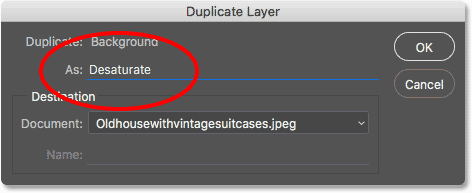 Naming the duplicate layer. 