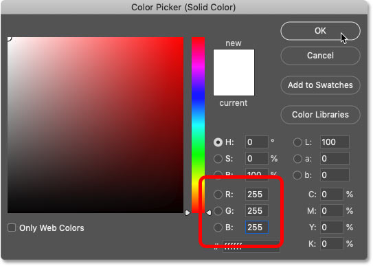 Setting the Solid Color fill layer to white in Photoshop's Color Picker