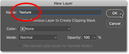 Naming the layer in Photoshop's New Layer dialog box