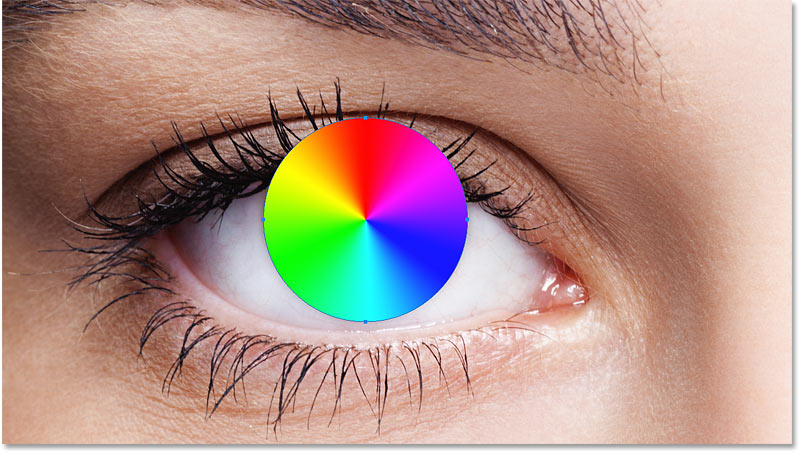 The shape covers the area of the eye we want to colorize. 