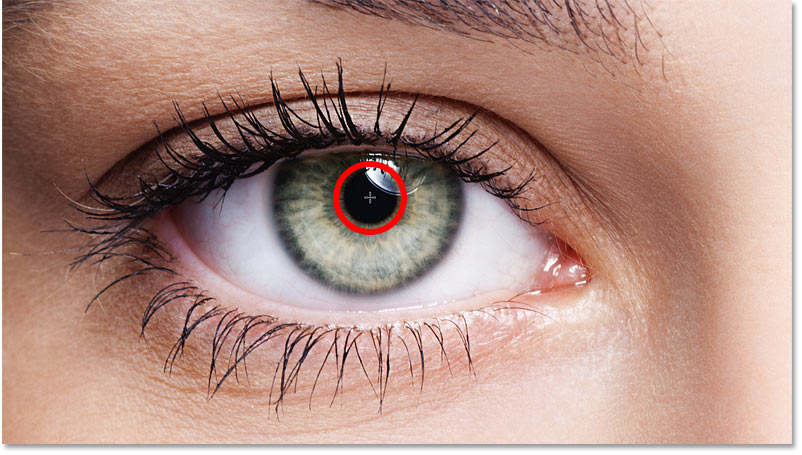 Positioning the mouse cursor in the center of the eye. 