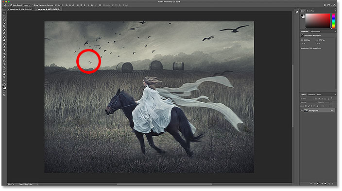 Clicking on the image that will be moved into the other document in Photoshop