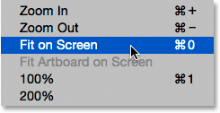 Choosing the Fit on Screen command from under the View menu.