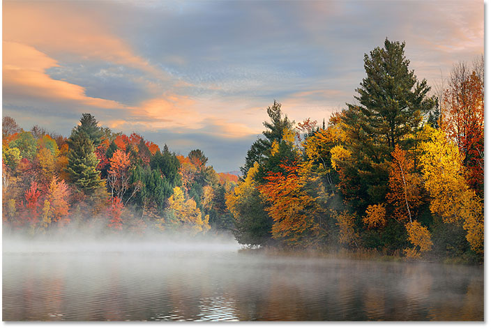 Autumn foliage photo from Adobe Stock