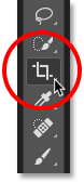 Selecting the Crop Tool in Photoshop. 