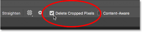 The Delete Cropped Pixels option for the Crop Tool. 