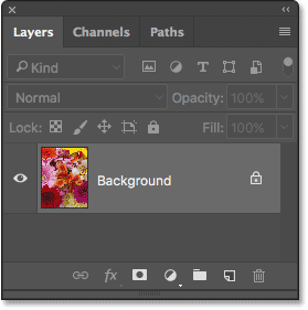 The Layers panel showing the cropped image on the Background layer. 