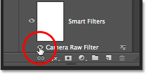 Clicking the visibility icon for the Camera Raw Filter.com