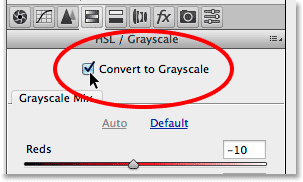 Selecting the Convert to Grayscale option.com