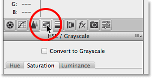 Clicking the HSL / Grayscale tab in the Camera Raw Filter dialog box.com