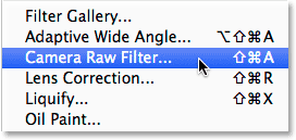 Selecting the Camera Raw Filter from the Filter menu in Photoshop CC.com